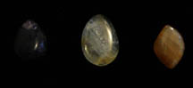 rocks